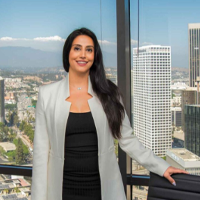 Attorneys & Law Firms Diba Alemi in Beverly Hills CA